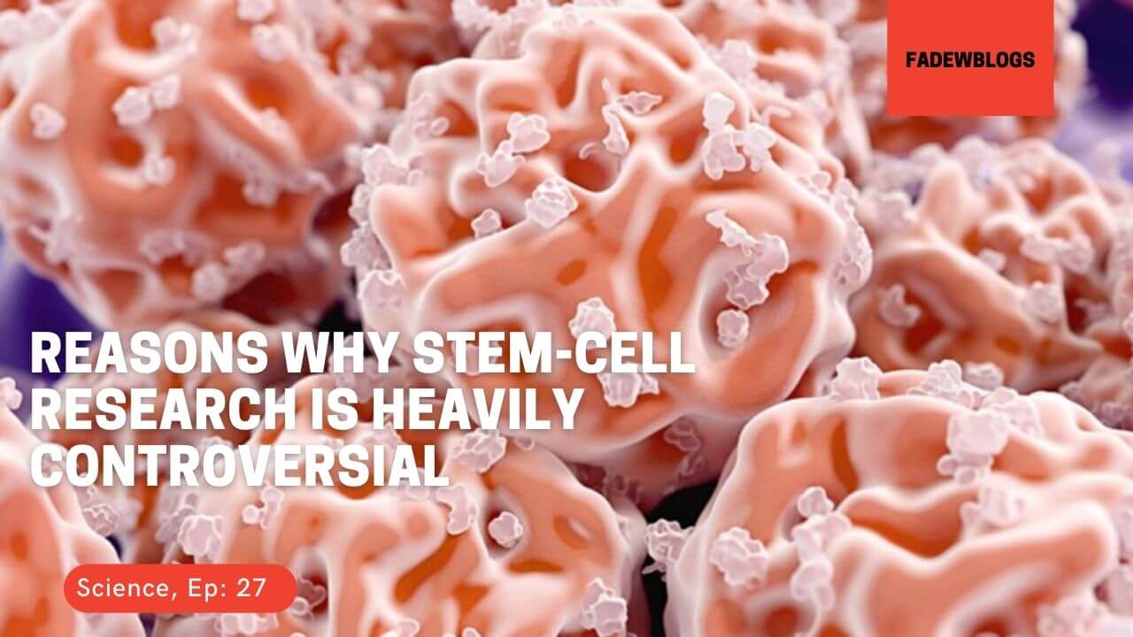 Reasons Why Stem Cell Research Is Heavily Controversial