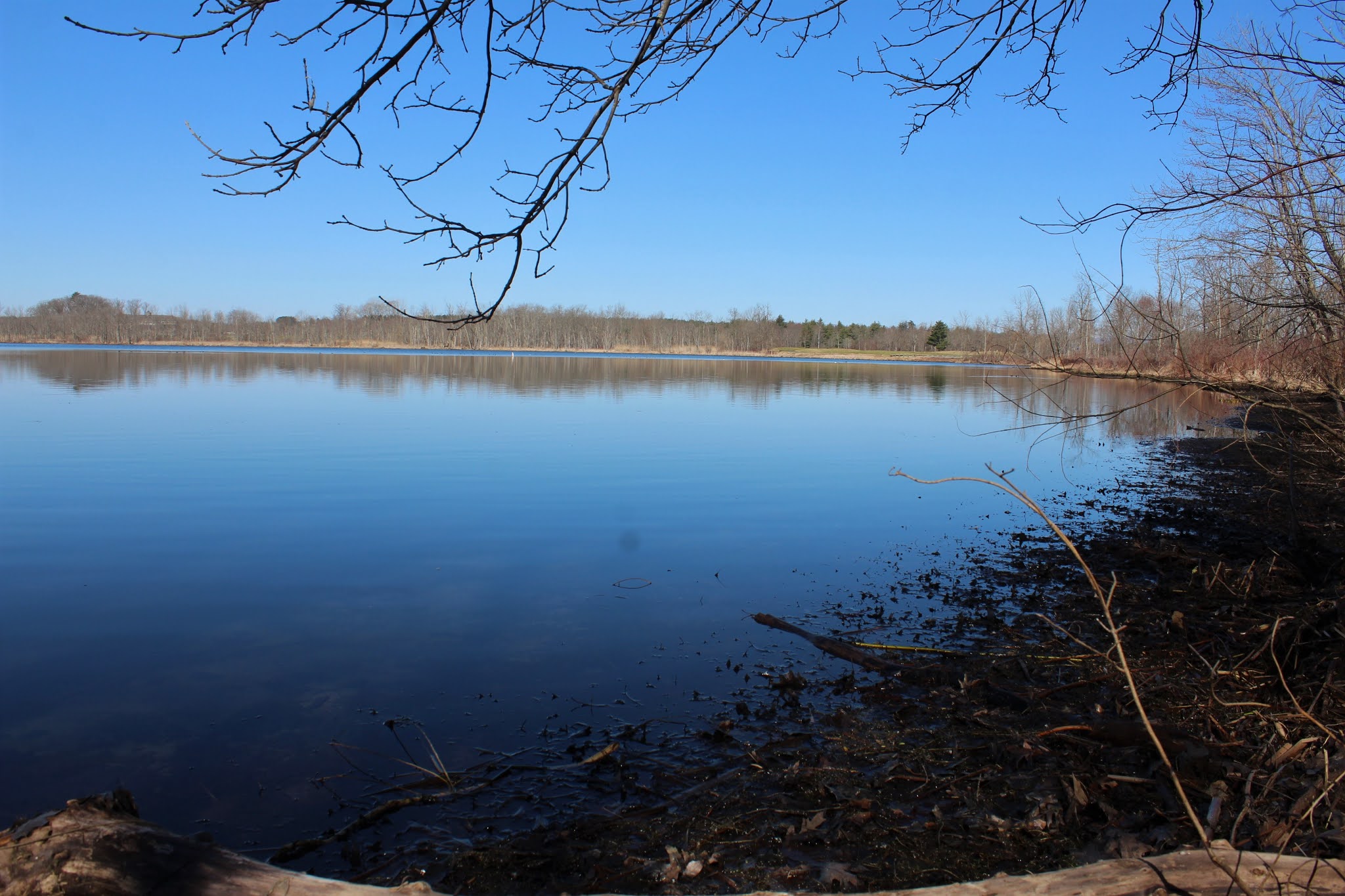 Walking Man 24 7 Lake Lonely(Saratoga Springs, Saratoga County)