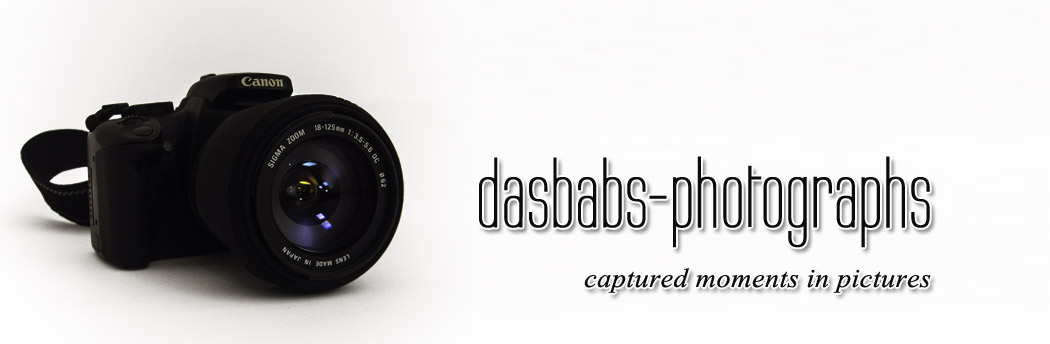 dasBabs-photographs: captured moments in pictures