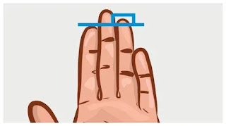 Tes Kepribadian: Panjang Jarimu Dapat Ungkap Tiga Hal Tentang Penting Kepribadianmu ilustrasi ukuran jari - Ikuti tes kepribadian ini dan temukan 3 hal tentang kepribadianmu
