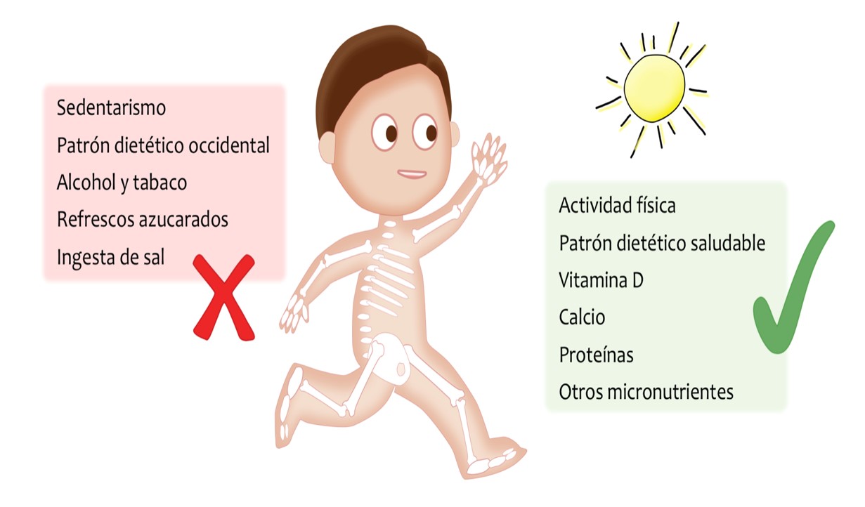 Fuentes de Calcio en nuestra alimentación