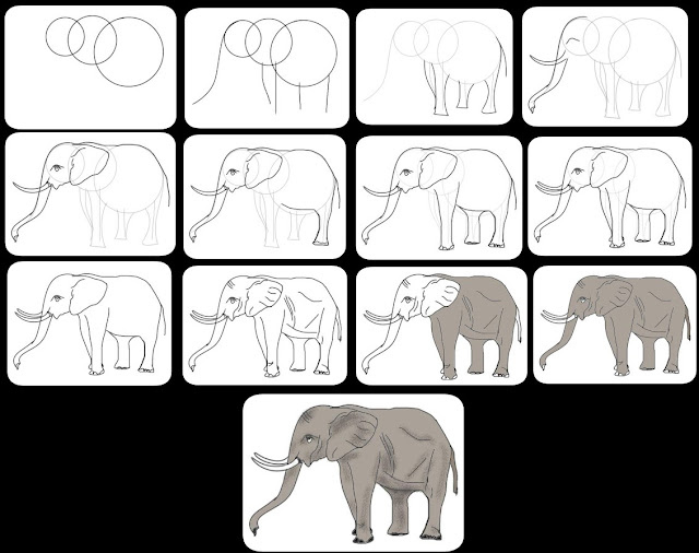 elephant-drawing