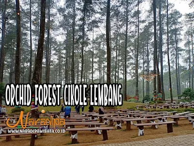 OUTBOUND ORCHID FOREST LEMBANG