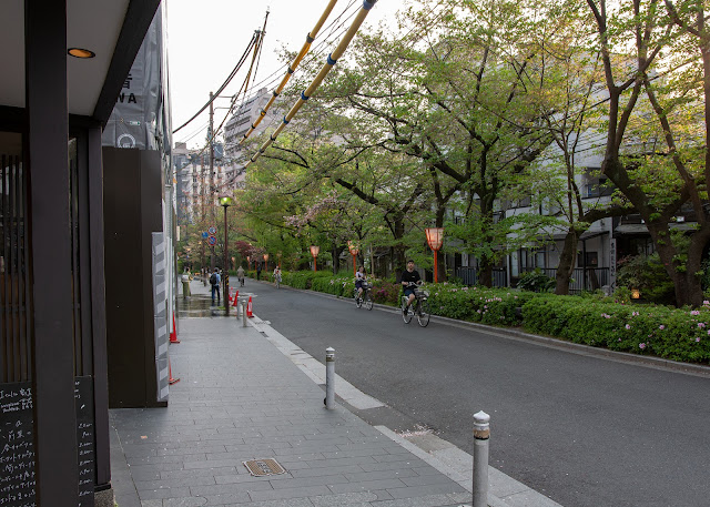 Kyoto Backstreets