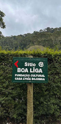 Sítio Boa Liga, Pedro do Rio, Petrópolis, RJ