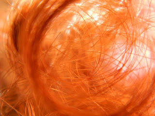 A close up photo of my hair in sunlight