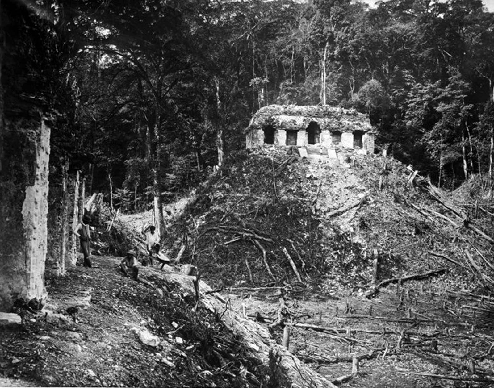 Vintage photos documenting the discovery of Maya ruins, 1880-1900 - Rare Historical Photos