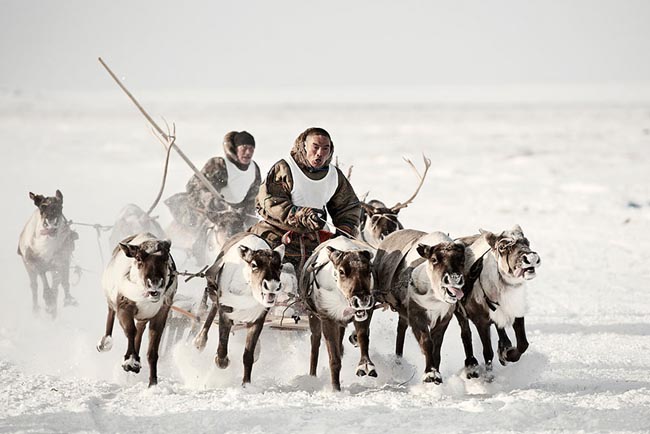 46 Must See Stunning Portraits Of The World’s Remotest Tribes Before They Pass Away - Nenets, Russia