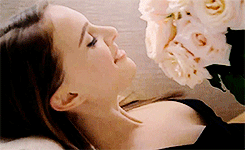 source.gif
