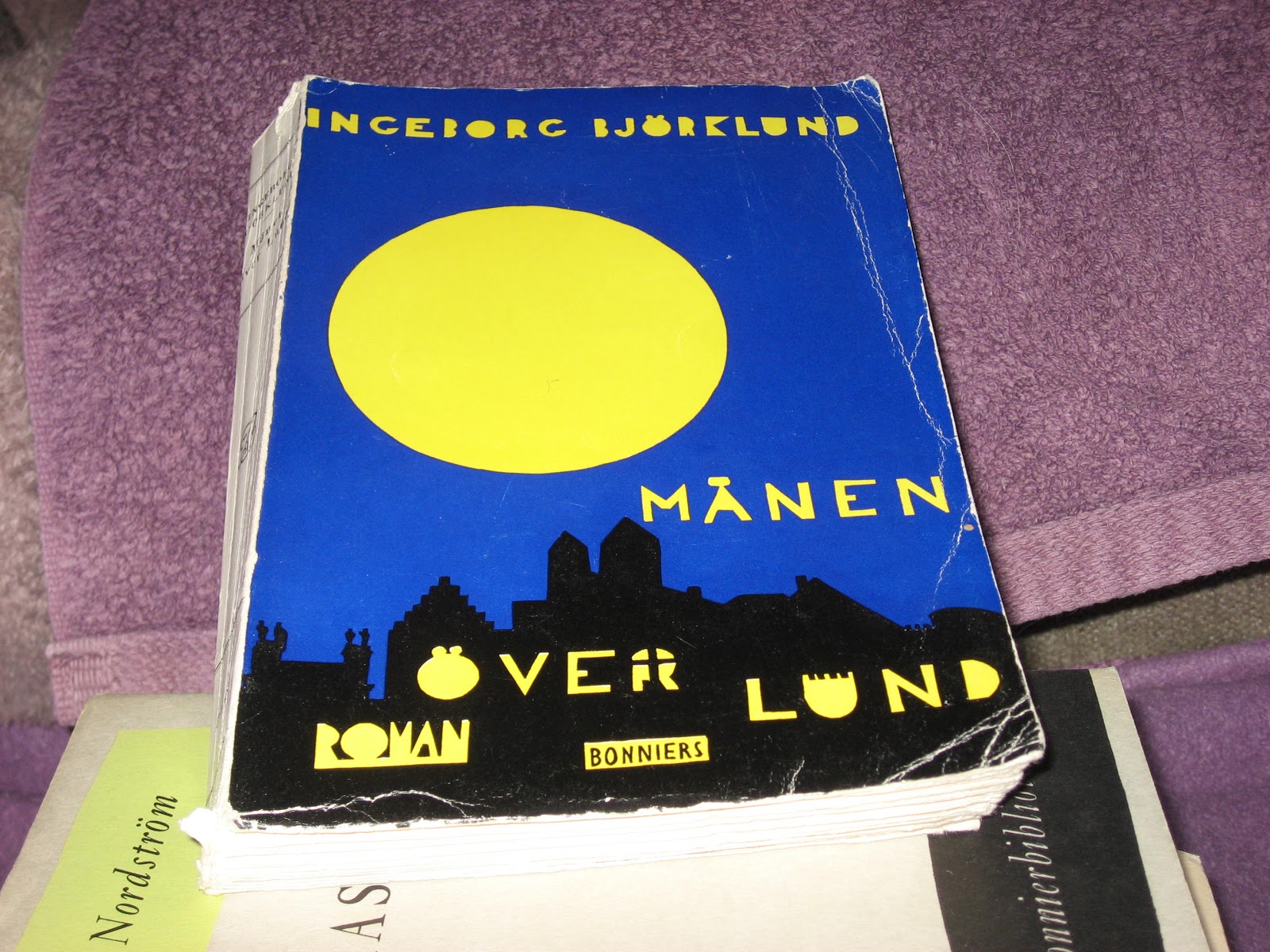 Ingrids boktankar Månen över Lund av Björklund