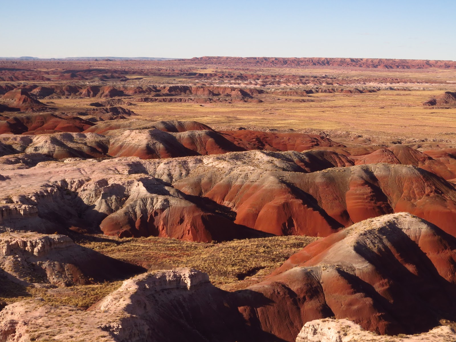 Have Book, Will Travel: Painted Desert National Park