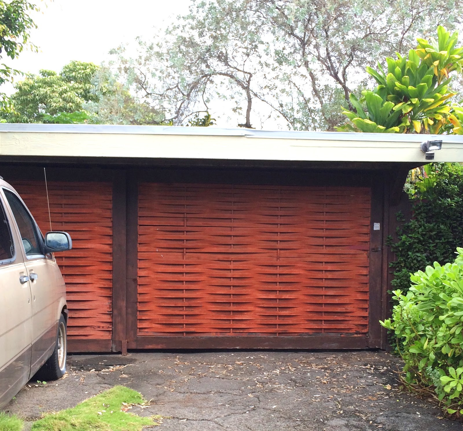 The Walking Hawaiian