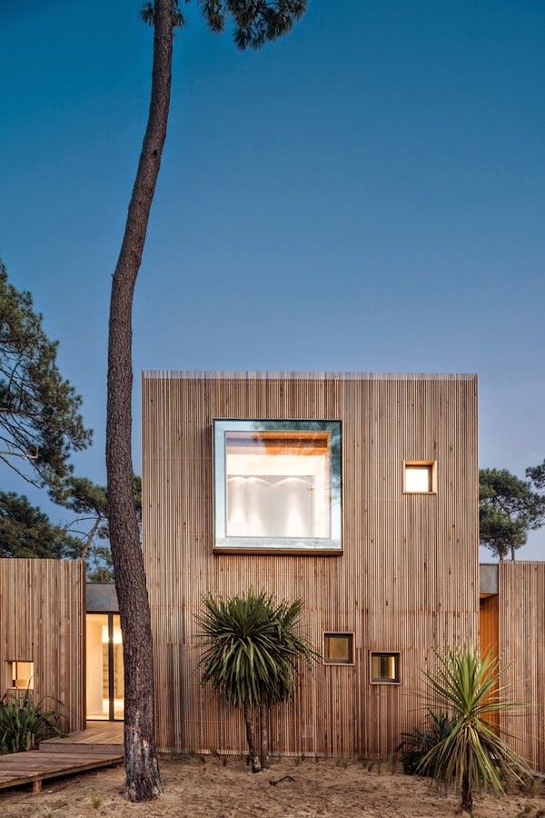 The perfect replica of the pine wood