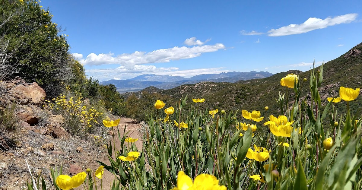 TopoLines PCT Warner springs to Idyllwild
