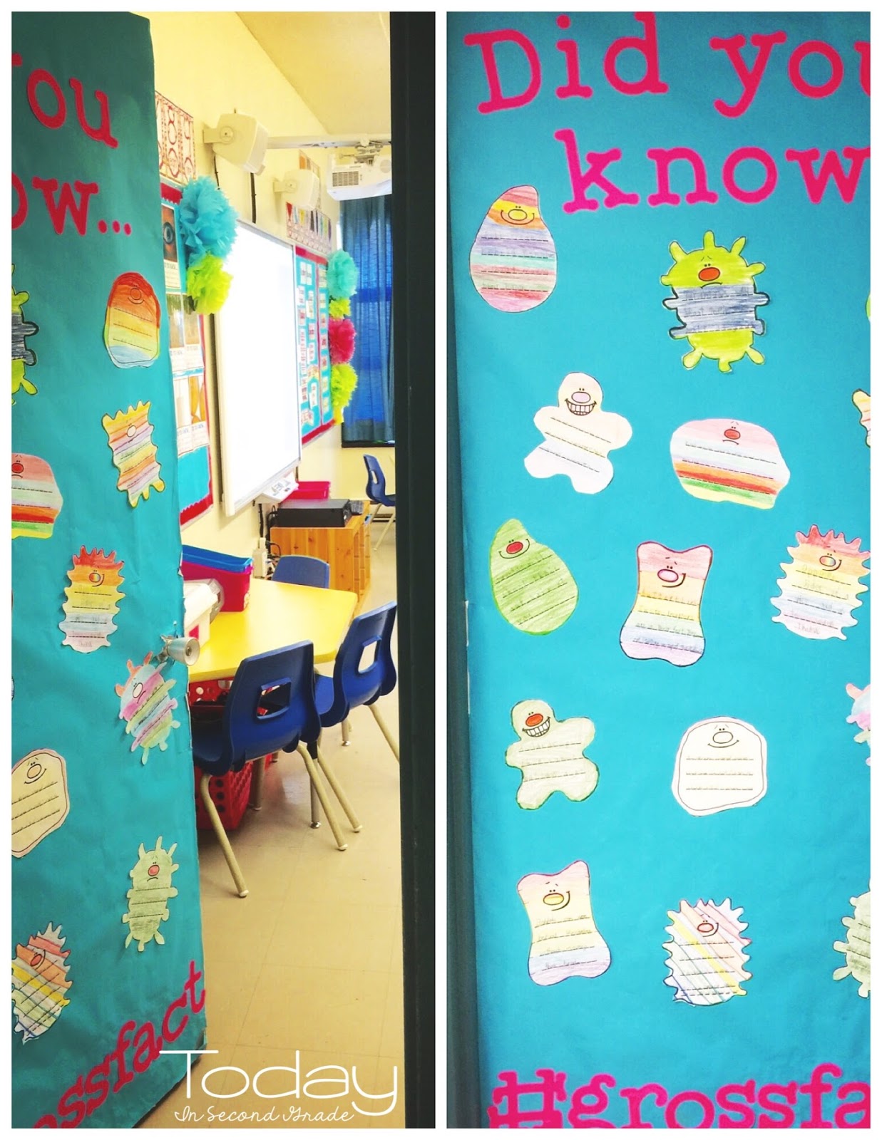 Gross Facts! - Today in Second Grade