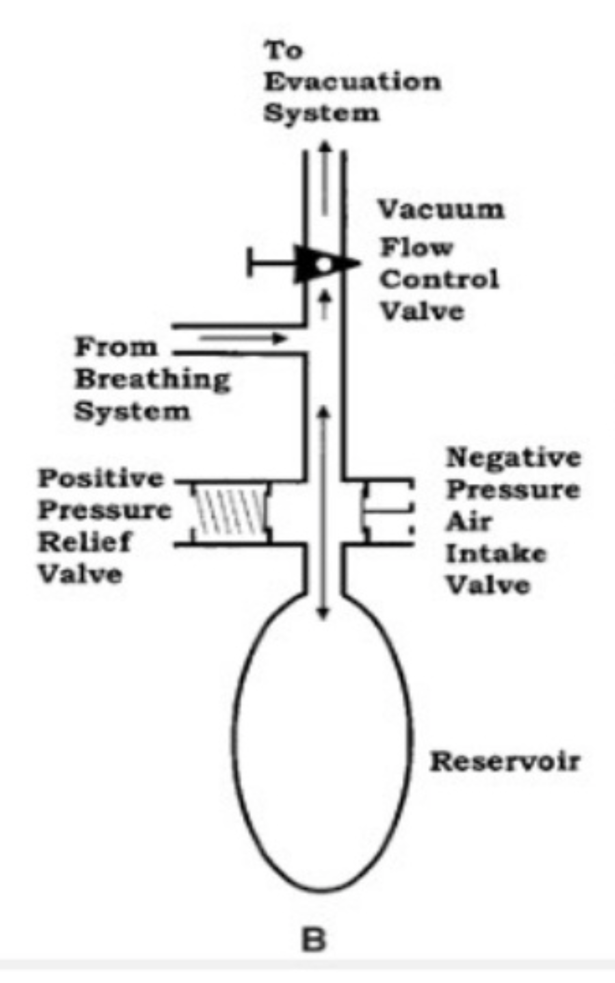 Case Reports in Anesthesia