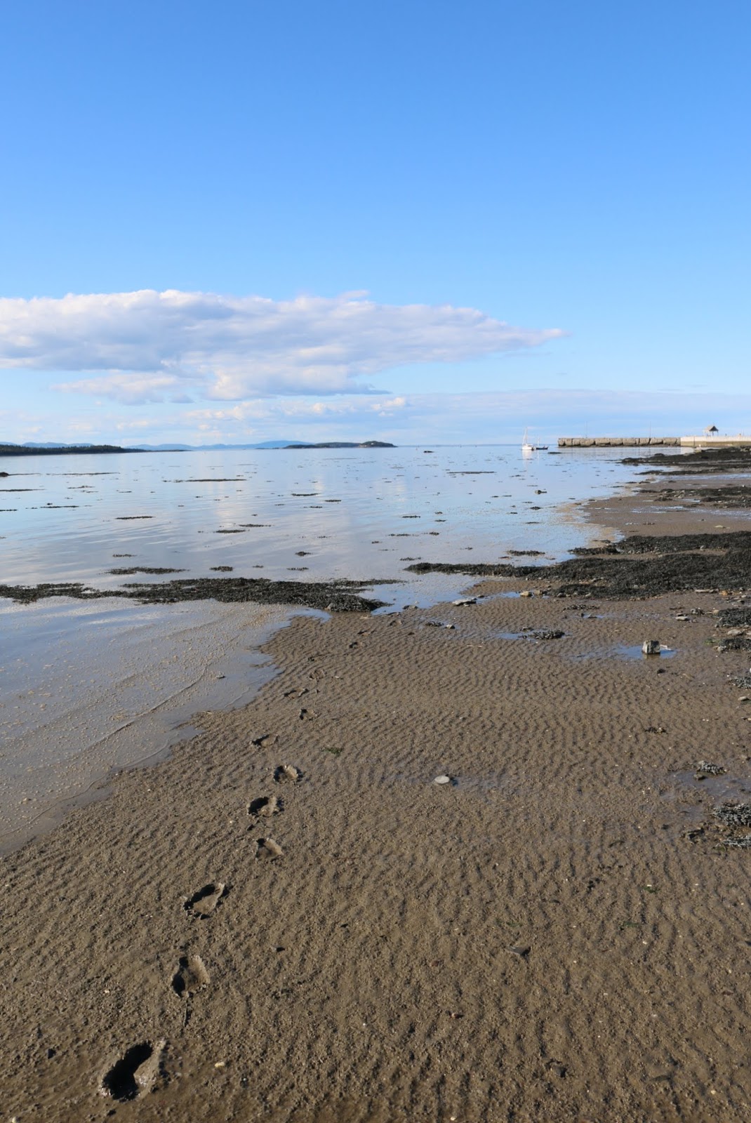 10 bonnes raisons d'aller à Kamouraska