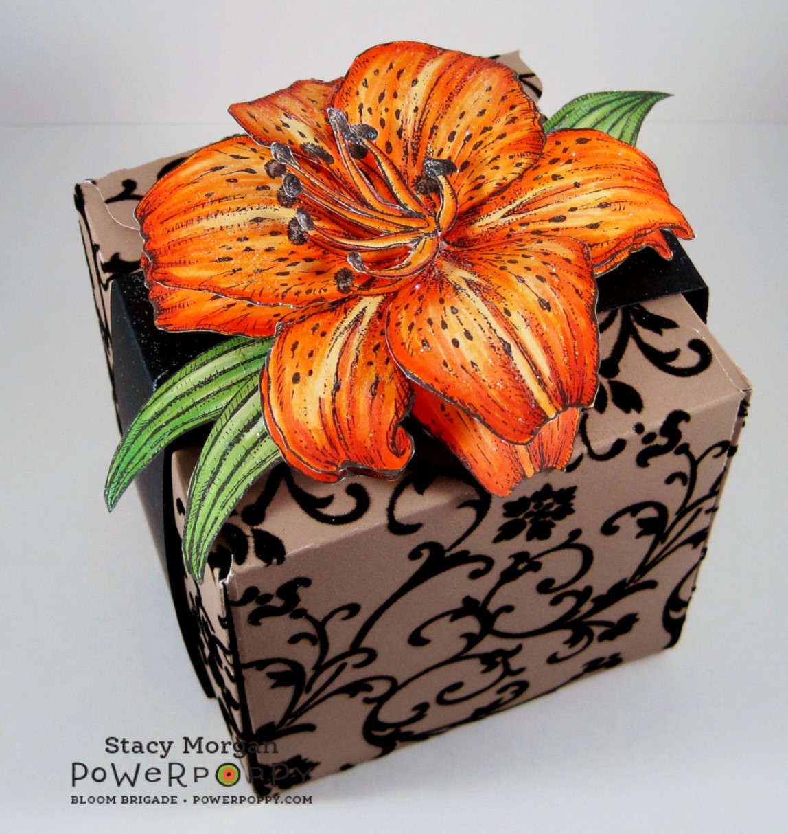 Twinshappy Release day!!! Tiger Lily