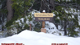 Tamanawas Falls Trail-head