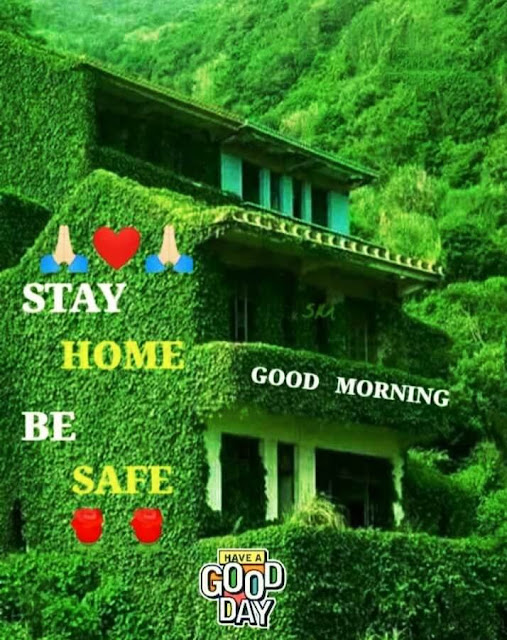 Good Morning Images For Whatsapp Good Morning Images For Whatsapp