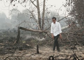 Jokowi Sebut Korporasi dan Warga Bakar Hutan untuk Buka Lahan