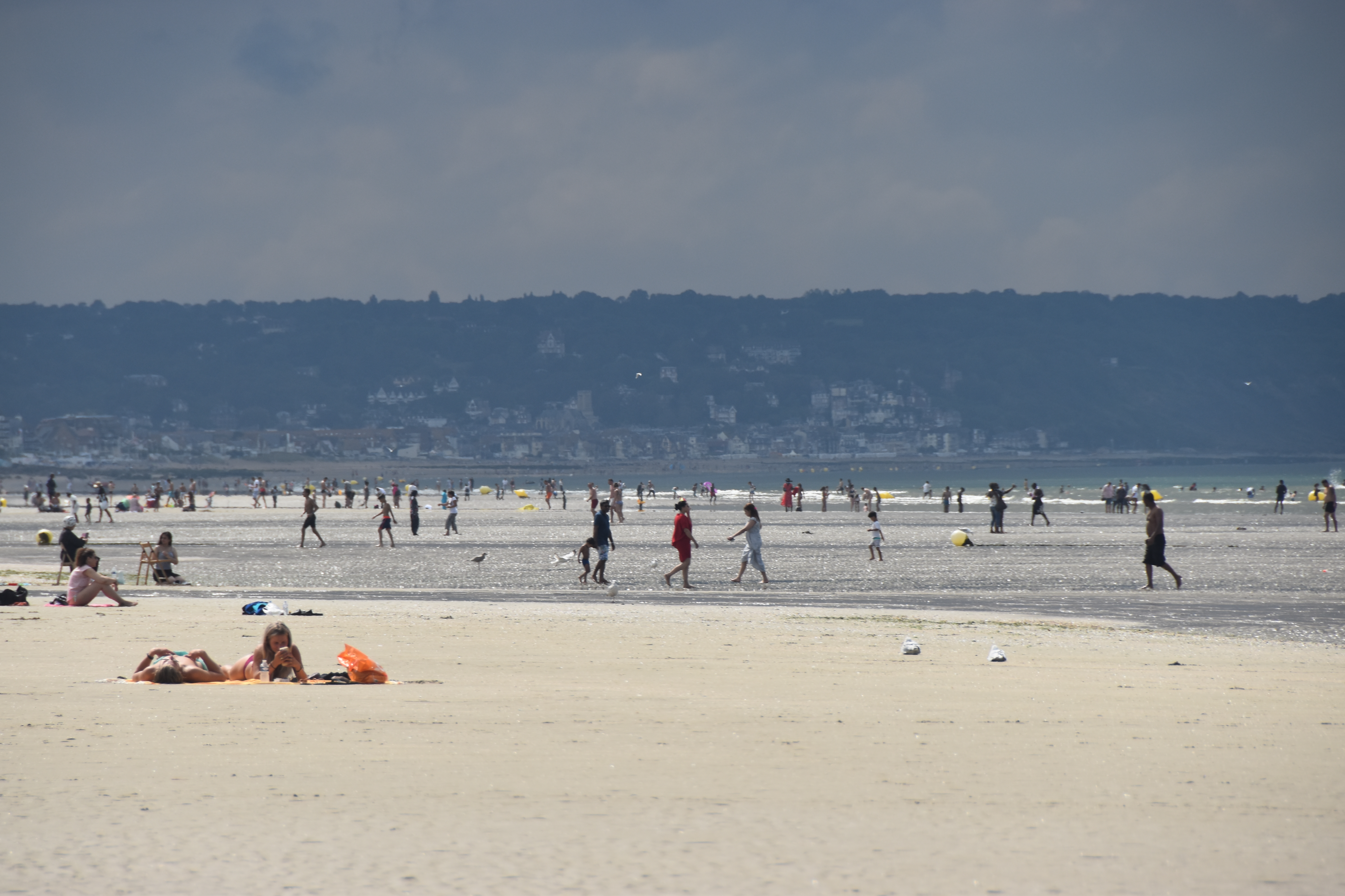 L’attribut alt de cette image est vide, son nom de fichier est DSC_0249.JPG.