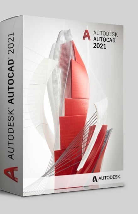 2021 2021