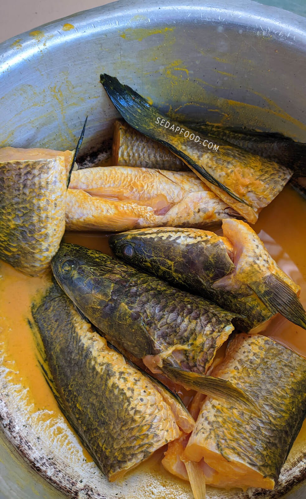 Resepi Ikan Haruan Masak Sambal Berlado