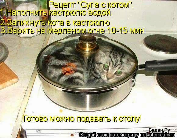 3 кота готовим. Суп с котом рецепт. Кот в кастрюле. Кот кастрюля суп.