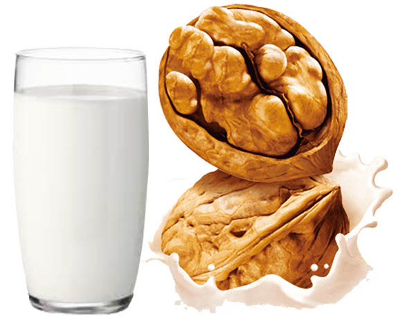 Benefits of eating walnut with milk, know 5 benefits Benefits of eating walnut with milk, know 5 benefits