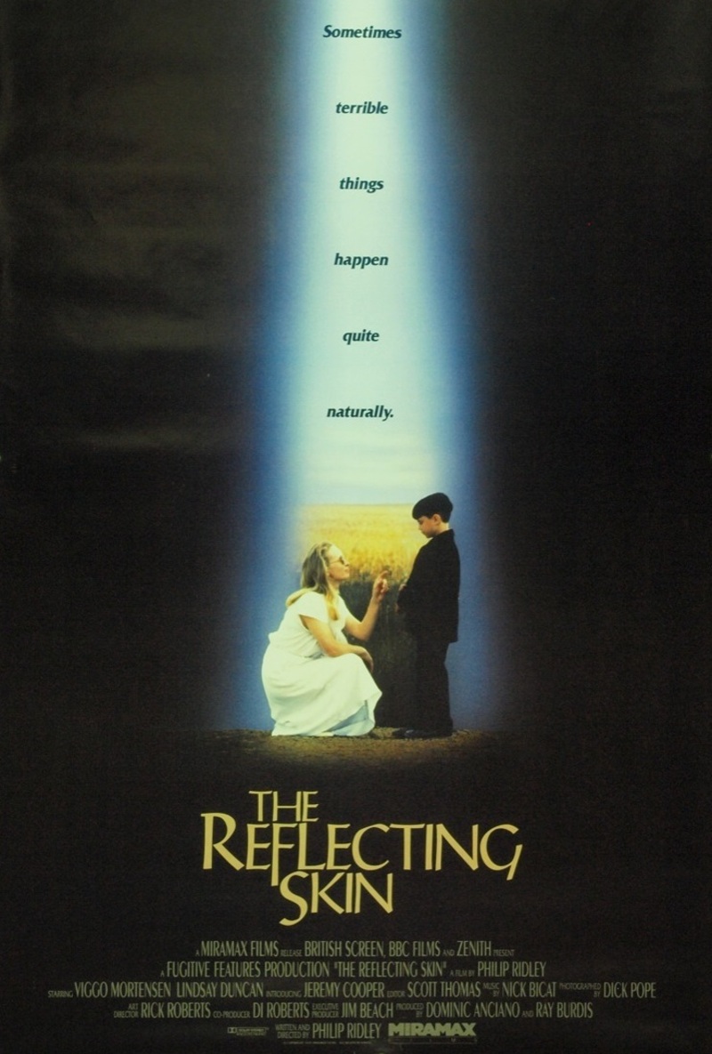 the reflecting skin poster