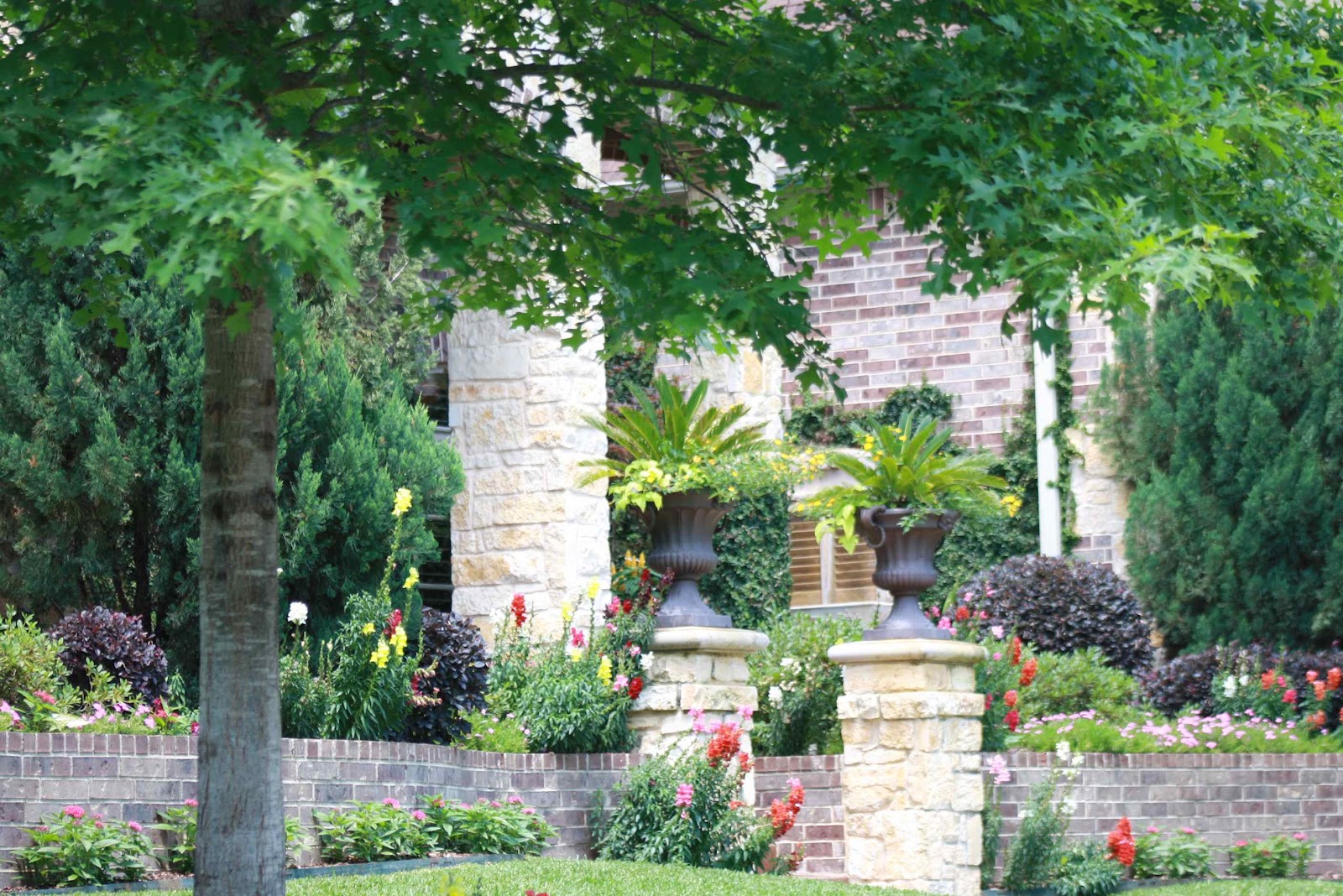 Roses and Other Gardening Joys Vision of Versailles Garden Tour