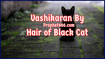 Vashikaran By Hairs of Black Cat