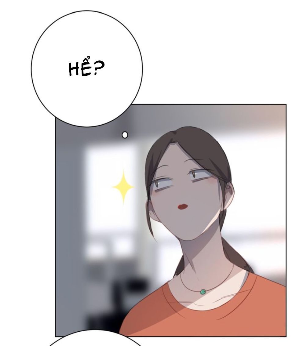Đọc truyện Thế giới của một chú mèo - Chapter 14
