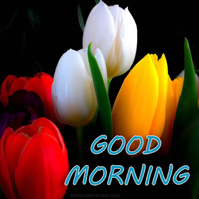 GOOD MORNING GOOD MORNING