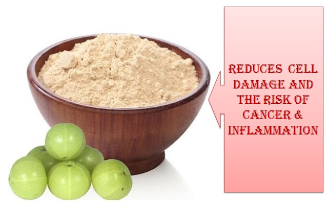 benefits of eating amla in empty stomach amla side effects benefits of amla for skin amla benefits and side effects 1 amla nutritional value benefits of amla powder best time to eat amla