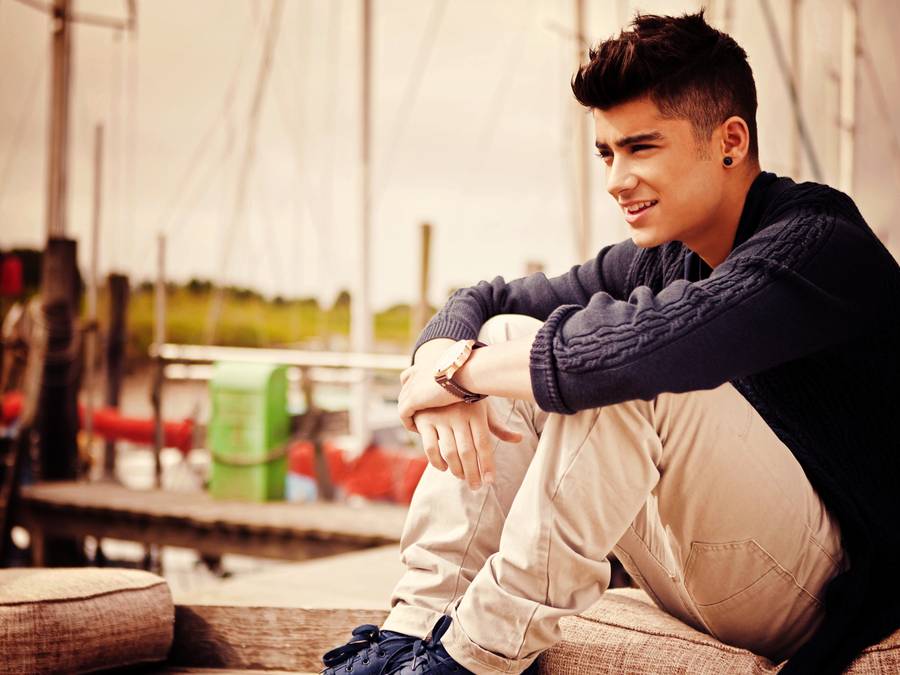 80 Fakta Unik dan Sedikit KisahTentang Zayn Malik One