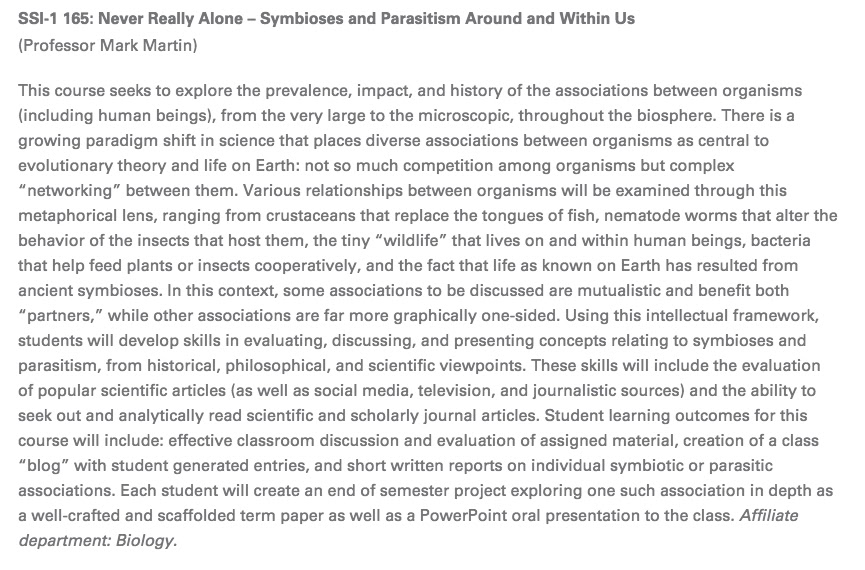 Short essays for kids image