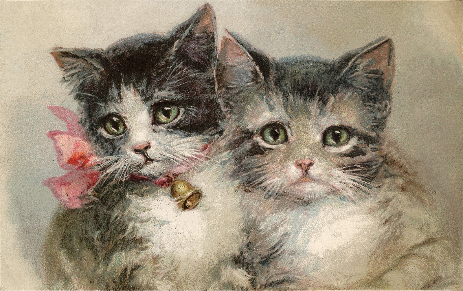 Little Grey Bungalow Vintage Images Edwardian Kittens