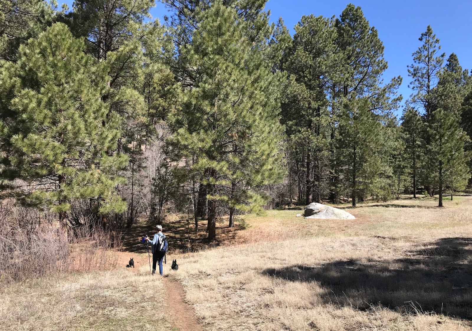 Southern New Mexico Explorer Winsor Trail (FT 254), Chamisa Trail ( FT