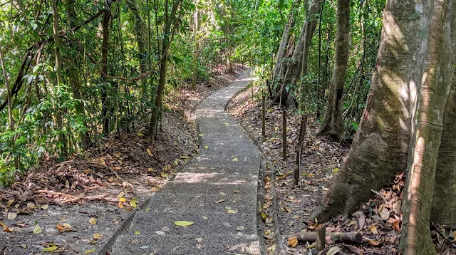 Costa Rica Itinerary: trail at Manuel Antonio NP