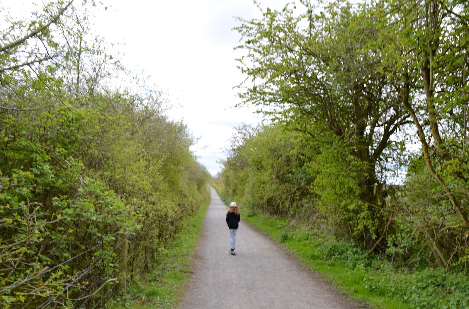 Rising Sun Country Park A Pushchair & Dogfriendly Walk in North