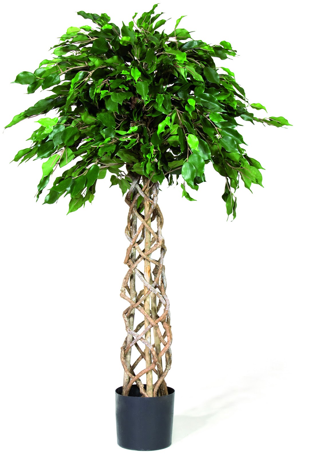 Finest quality artificial plants that look so realistic and natural