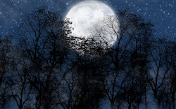 estrellas moon night luna sky stars lunas llena trees fondos forest wallpapers tree imagenes fondo pantalla silhouette moonlight nebo imagui