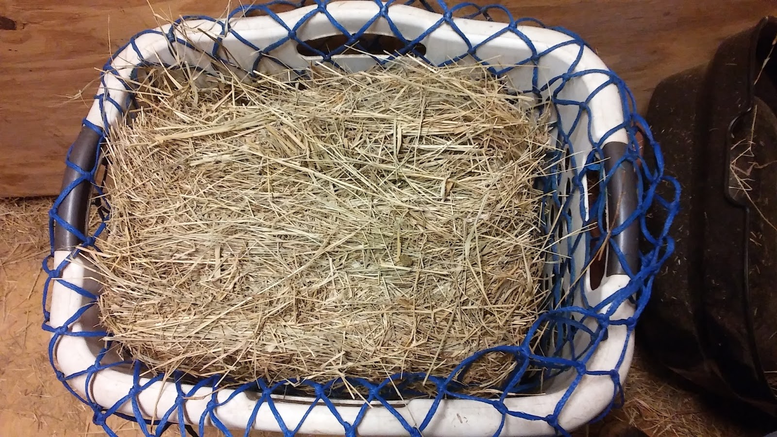 The Well Groomed Horse Hay nets