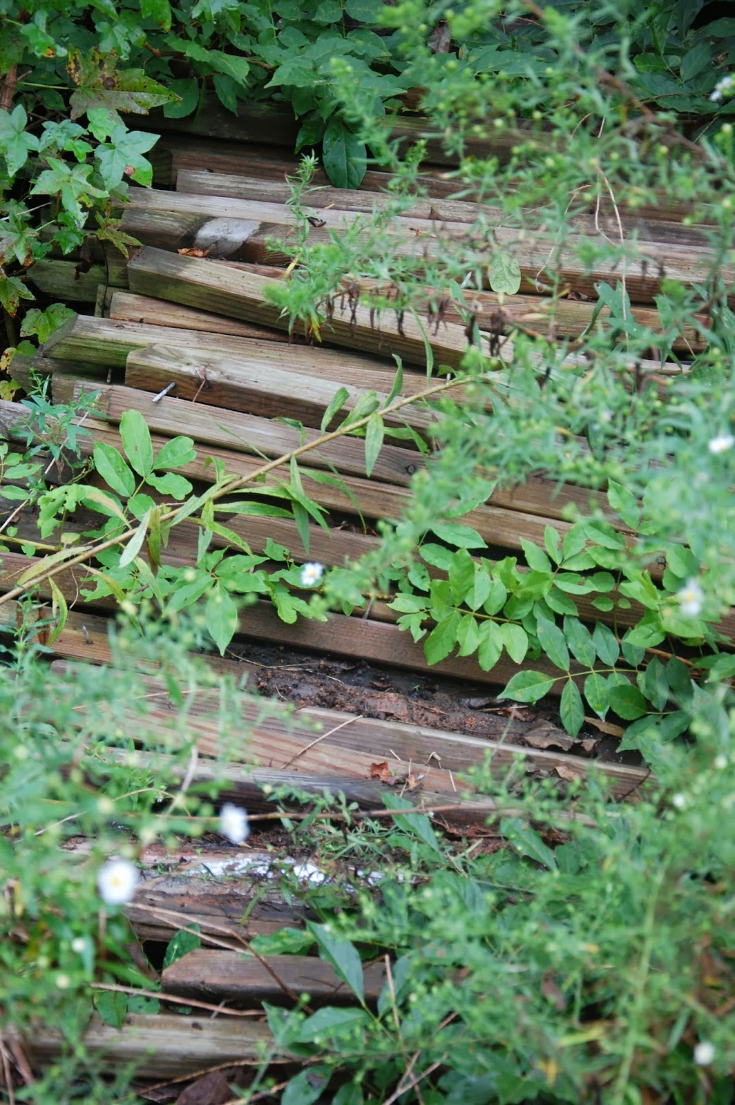 The Hippie Homestead: Building a Raised Bed with Bamboo