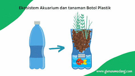 Ekosistem Akuarium dan Tumbuhan dalam botol plastik air mineral, untuk siswa SD dan SMP, membuat model dan mengamati interaksi ekosistem dengan makhluk hidup dan tak hidup.