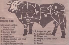 Bagian Daging Sapi Beserta Bagian Daging Sapi Terbaik untuk Dimasak