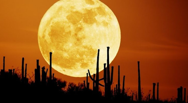 What Is A Harvest Moon And What Does It Mean?