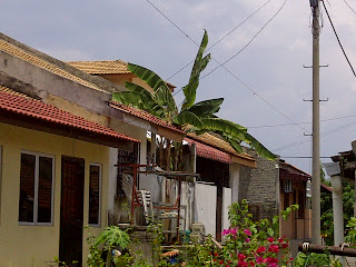 %253D%253Futf-8%253FB%253FSU1HLTIwMTIwNDA3LTAwMDYyLmpwZw%253D%253D%253F%253D-736143 Amateur radio and blackberry